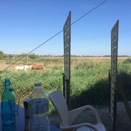Ferienwohnung En Camargue Salin-de-Giraud Exterior foto