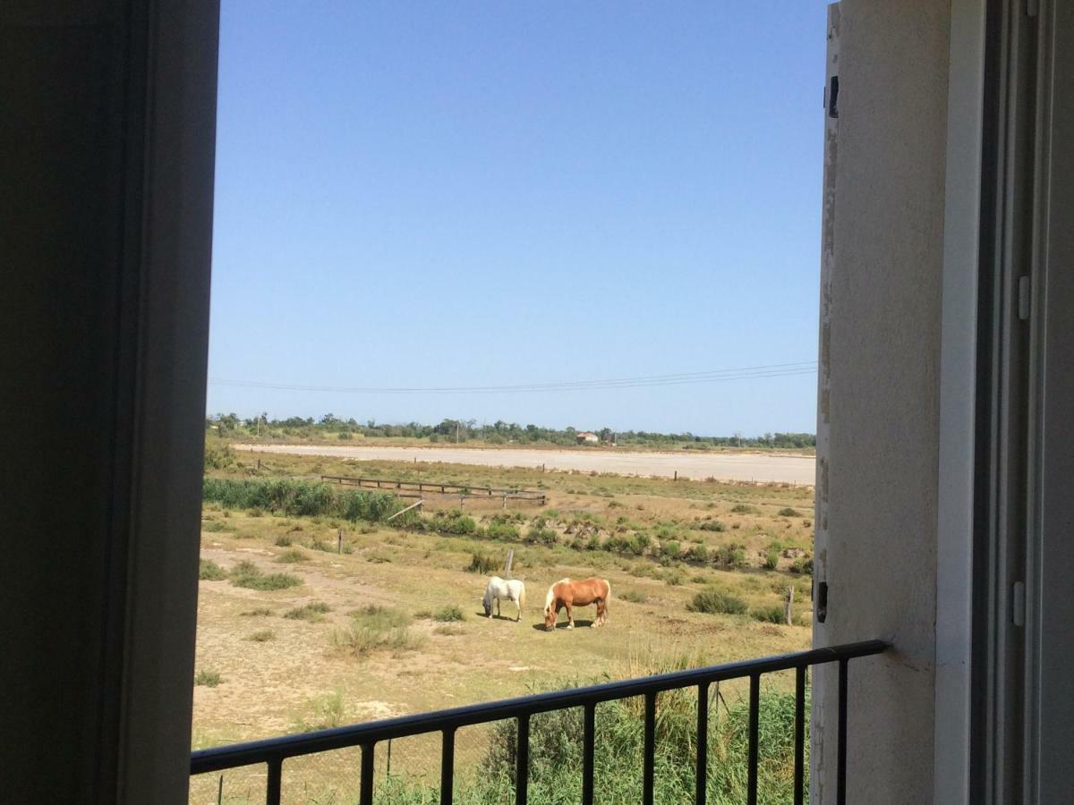 Ferienwohnung En Camargue Salin-de-Giraud Exterior foto