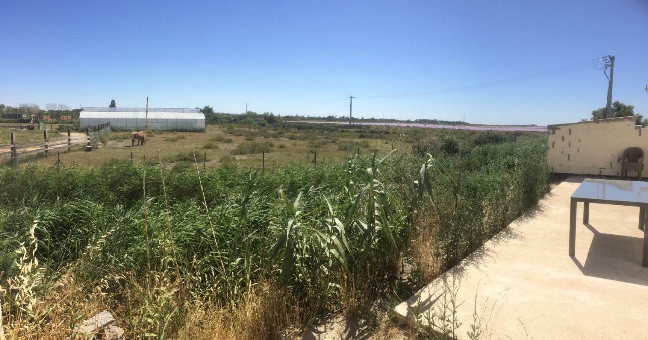 Ferienwohnung En Camargue Salin-de-Giraud Exterior foto